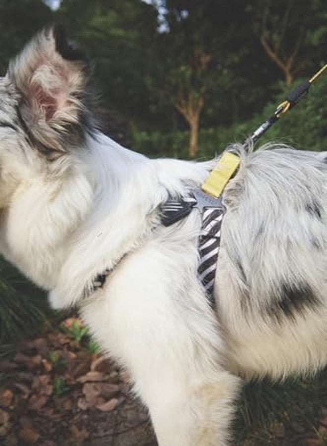 أم-بيتس سرج M-PETS Wild Safari للكلاب الصغيرة جدًا، قابل للتعديل، مريح ومتين، مزود بإبزيم قفل ومشبك خلفي، سهل التنظيف، مناسب للمشي والتدريب والأنشطة الخارجية، صغير جدًا - Image 2